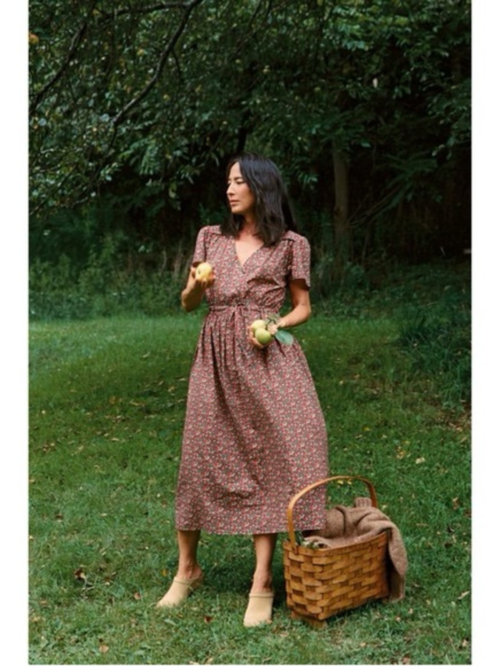 Christy Dawn Evergreen Apple Harvest Dawn
